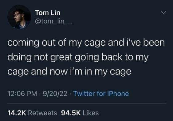 classic memes, vintage memes, viral tweets, timeless memes, nostalgic memes, viral memes, internet classics, popular memes, meme humor, funny memes, relatable memes, everyday humor, meme nostalgia, old memes, best memes