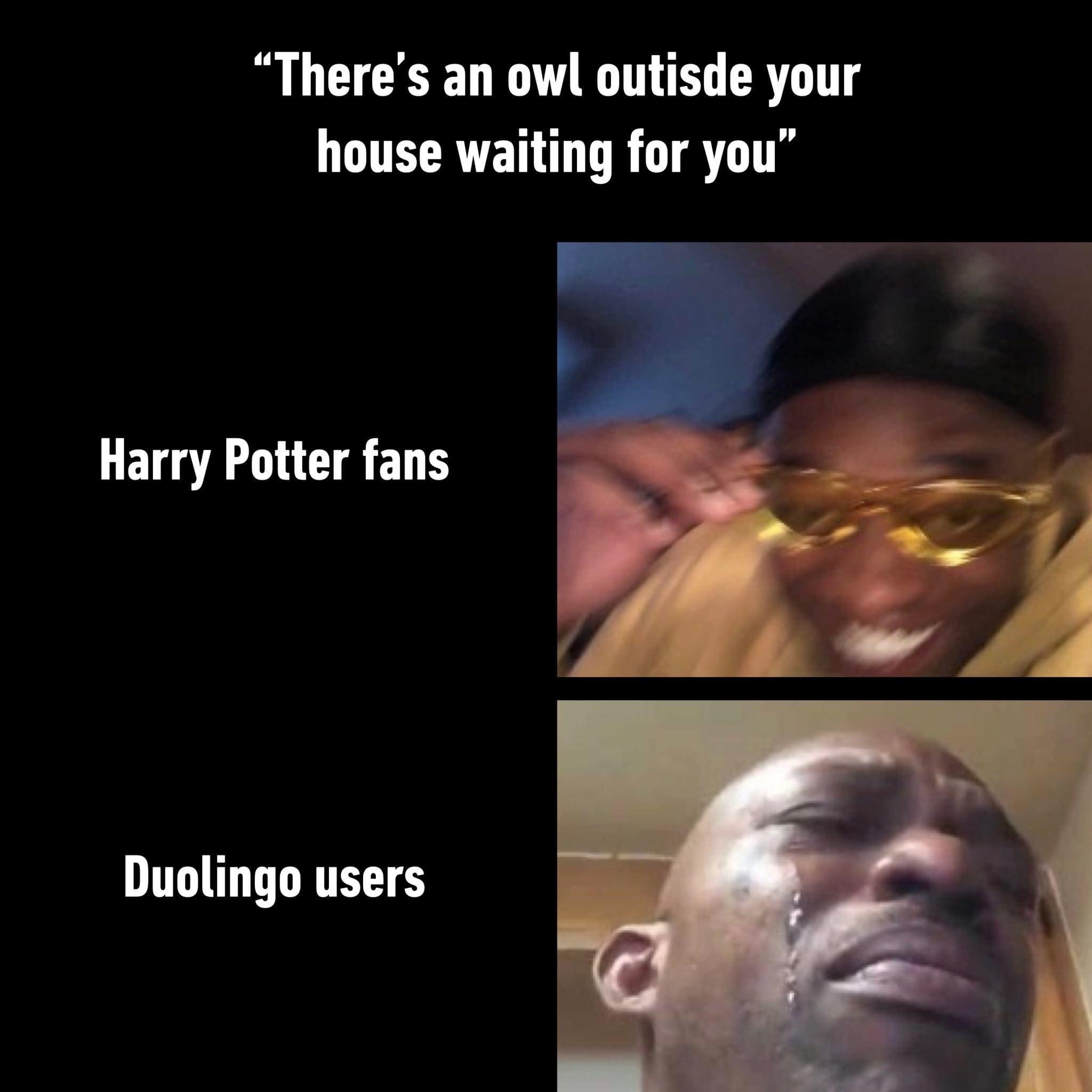 "There's an owl outisde your house waiting for you" Harry Potter fans Duolingo users
