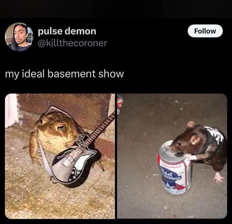 pulse demon @killthecoroner my ideal basement show Follow