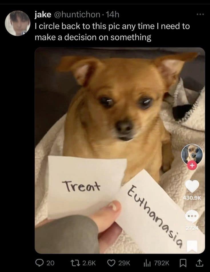 jake @huntichon • 14h 1 circle back to this pic any time I need to make a decision on something Treat 430.9K Euthanasia • 20 17 2.6K © 29K Th 792K