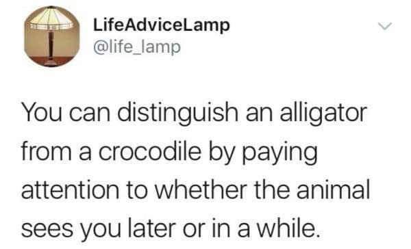 LifeAdviceLamp @life_lamp You can distinguish an alligator from a crocodile by paying attention to whether the animal sees you later or in a while.