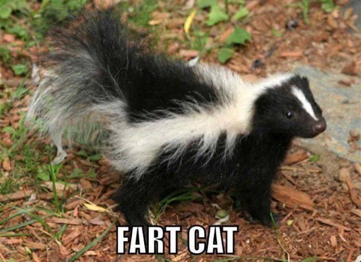 classic memes, vintage memes, viral tweets, timeless memes, evergreen memes, legendary memes, throwback internet memes, retro internet jokes, nostalgic online gags, viral humor, trending humor, internet comedy, nostalgic social media humor, vintage social media jokes, old-school social posts, old memes, best memes