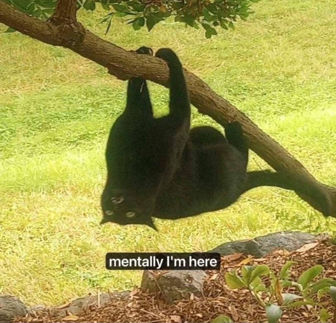 classic memes, vintage memes, viral tweets, timeless memes, older memes, internet staples, tweet nostalgia, short comedic lines, vintage viral humor, forever-laugh jokes, net relics, best memes, old memes