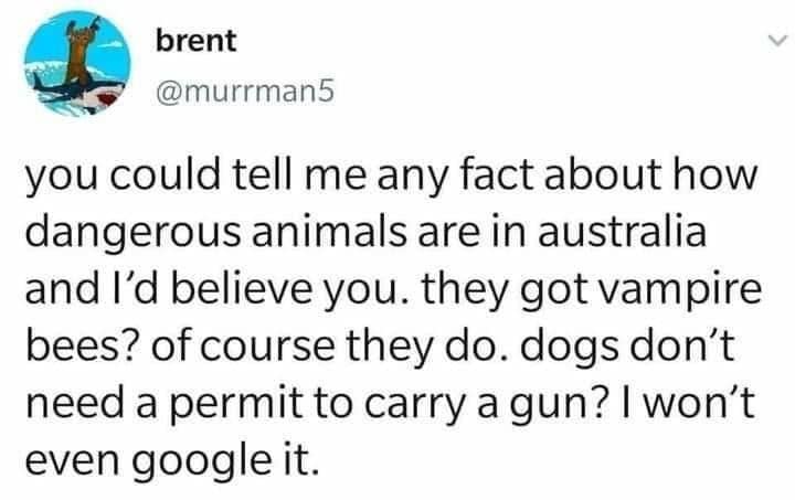 classic memes, vintage memes, viral tweets, timeless memes, older memes, internet staples, tweet nostalgia, short comedic lines, vintage viral humor, forever-laugh jokes, net relics, best memes, old memes