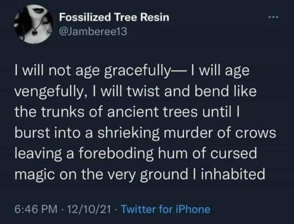 Fossilized Tree Resin @Jamberee13 I will not age gracefully— I will age vengefully, I will twist and bend like the trunks of ancient trees until I burst into a shrieking murder of crows leaving a foreboding hum of cursed magic on the very ground I inhabited 6:46 PM - 12/10/21 • Twitter for iPhone