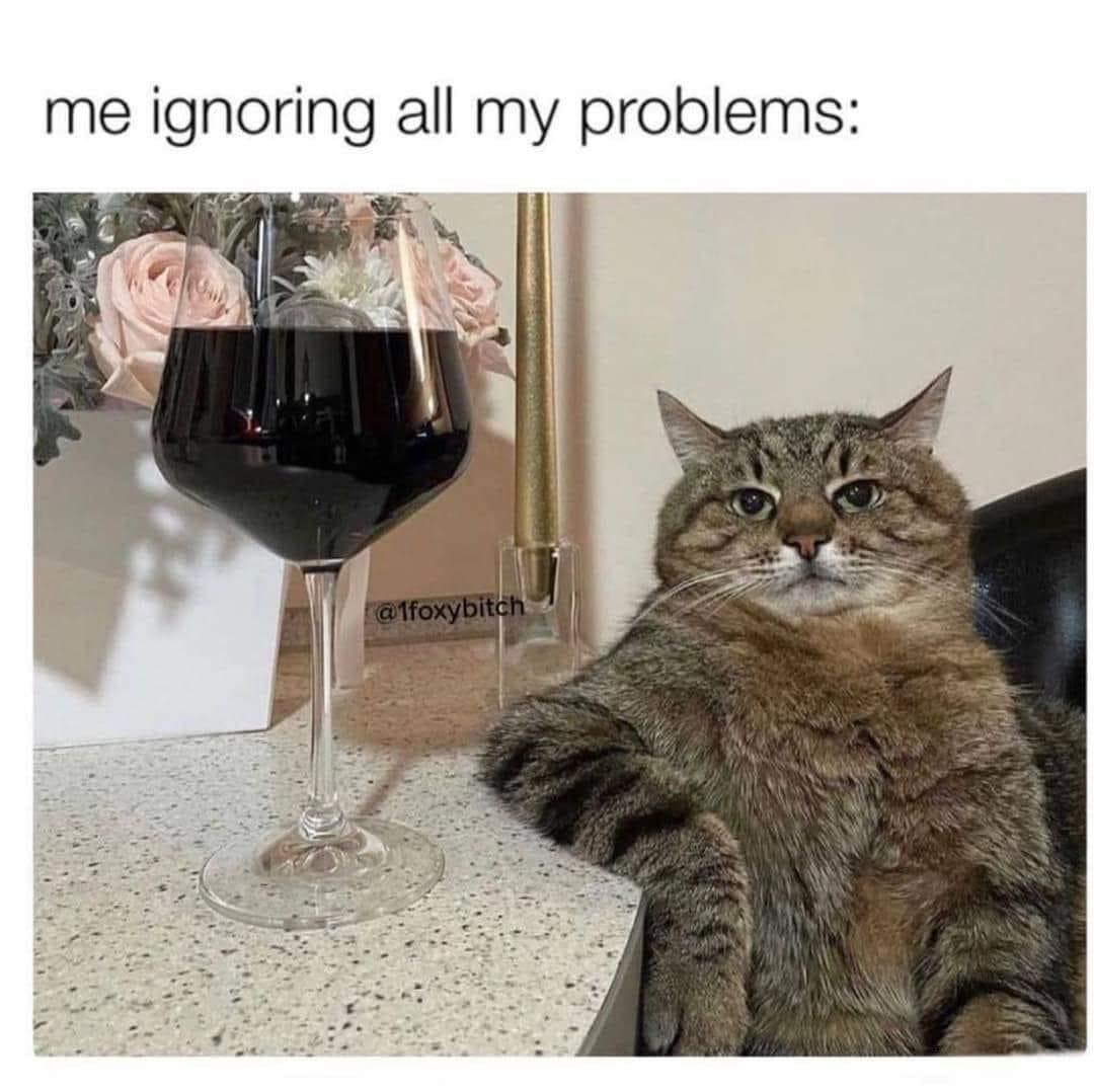 me ignoring all my problems: @foxybitch