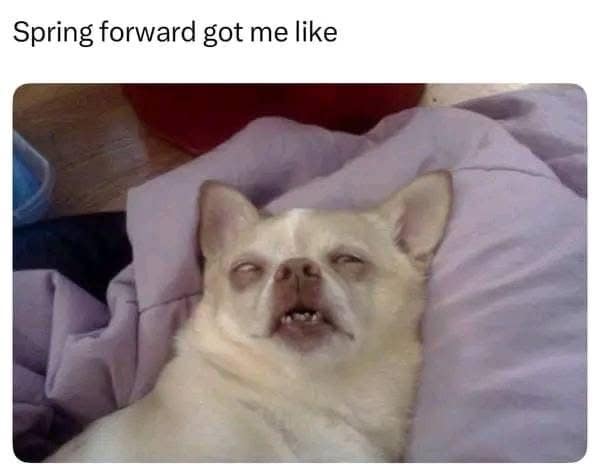 meme dump, funny memes, hilarious memes, timeless memes, older internet memes, enduring memes, tweet hits, online text blasts, vintage meme humor, throwback jokes, internet relics, retro comedic posts, evergreen net humor, stand-the-test memes, old memes, best memes