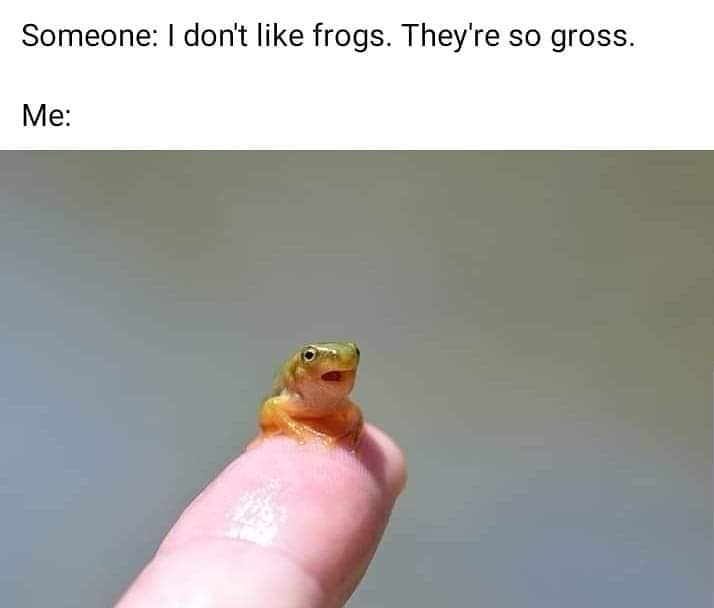 Someone: I don't like frogs. They're so gross. Me: