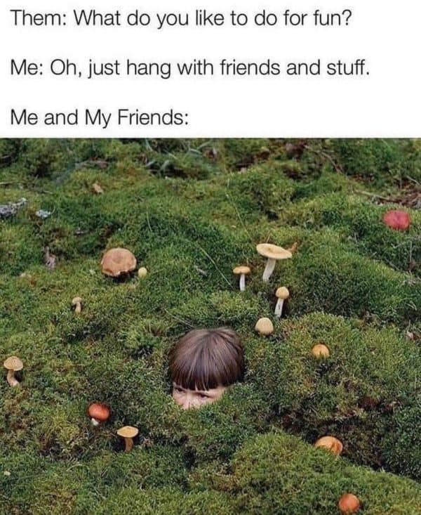 classic memes, vintage memes, viral tweets, best memes, old memes, timeless memes, vintage memes, original memes, trending micro-posts, tweet classics, online nostalgia, digital throwbacks, retro web references