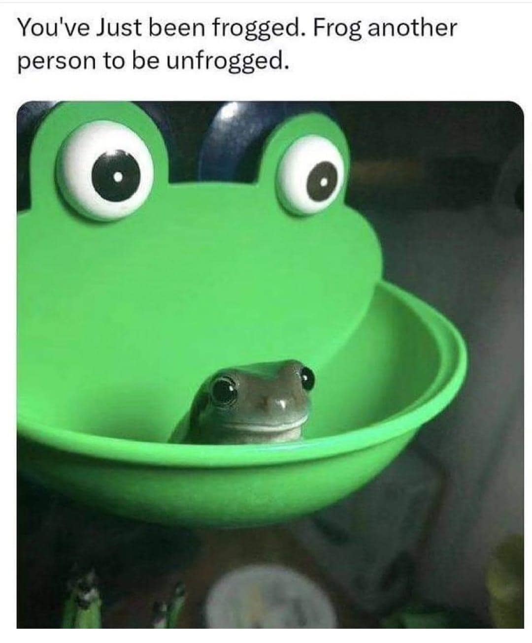 classic memes, vintage memes, viral tweets, best memes, old memes, timeless memes, vintage memes, original memes, trending micro-posts, tweet classics, online nostalgia, digital throwbacks, retro web references