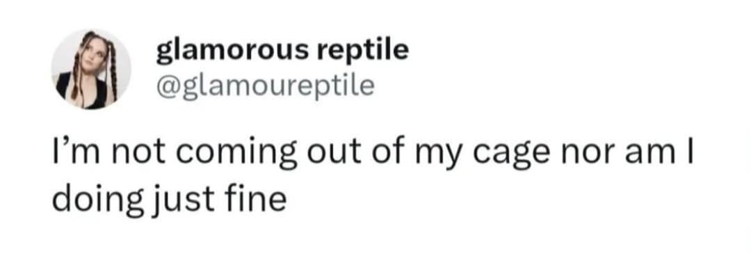 classic memes, vintage memes, viral tweets, timeless memes, nostalgic memes internet memes, viral memes, trending memes, popular memes, funny memes, hilarious memes, comedic memes, amusing memes, relatable memes, everyday memes, life memes, social memes, best memes, old memes