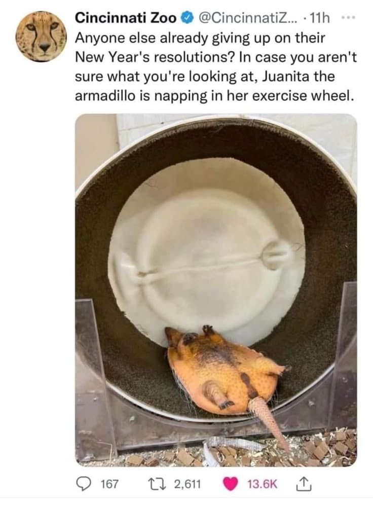 classic memes, vintage memes, viral tweets, timeless memes, nostalgic memes, evergreen humor, funny throwback memes, viral tweets, internet nostalgia, vintage meme humor, classic jokes, enduring meme trends, best memes, old memes