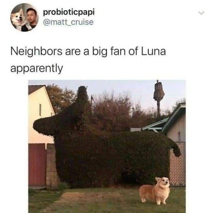 classic memes, vintage memes, viral tweets, timeless memes, nostalgic memes internet memes, viral memes, trending memes, popular memes, funny memes, hilarious memes, comedic memes, amusing memes, relatable memes, everyday memes, life memes, social memes, best memes, old memes