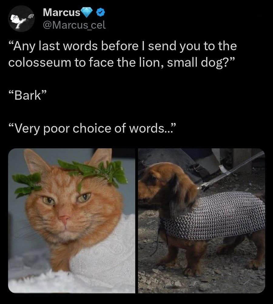 classic memes, vintage memes, viral tweets, timeless memes, vintage memes, internet relics, tweet sensations, comedic text posts, retro tweets, net throwbacks, older digital jokes, old memes, best memes