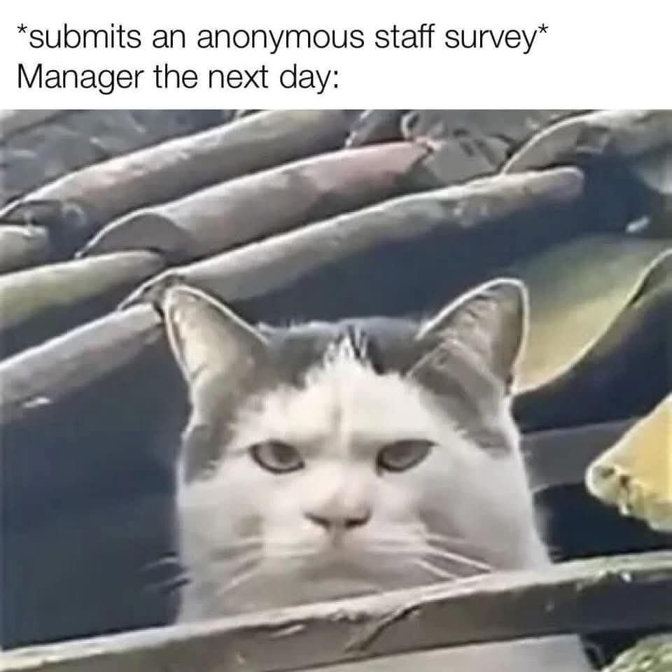 classic memes, vintage memes, viral tweets, timeless memes, nostalgic memes internet memes, viral memes, trending memes, popular memes, funny memes, hilarious memes, comedic memes, amusing memes, relatable memes, everyday memes, life memes, social memes, best memes, old memes