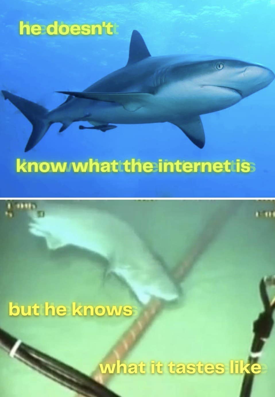 he doesn't knowwhat the internet is but he knows what it tastes like