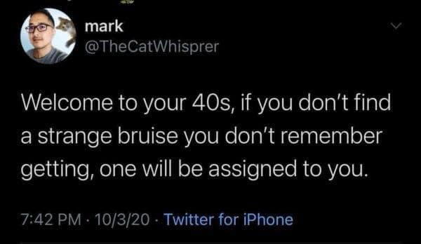 mark @TheCatWhisprer Welcome to your 40s, if you don't find a strange bruise you don't remember getting, one will be assigned to you. 7:42 PM • 10/3/20 • Twitter for iPhone