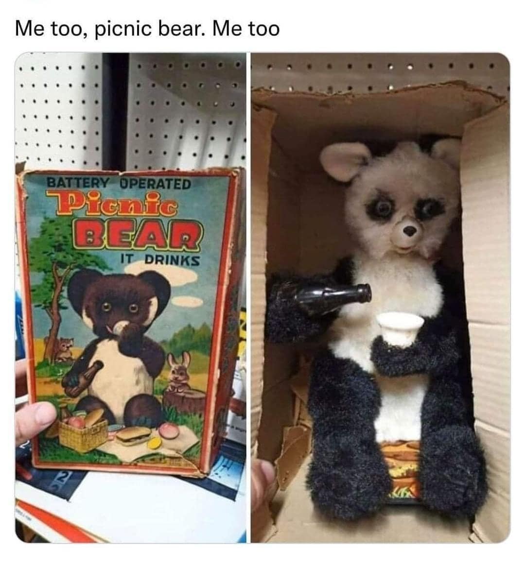 Me too, picnic bear. Me too BATTERY OPERATED Picnic BEAR IT DRINKS