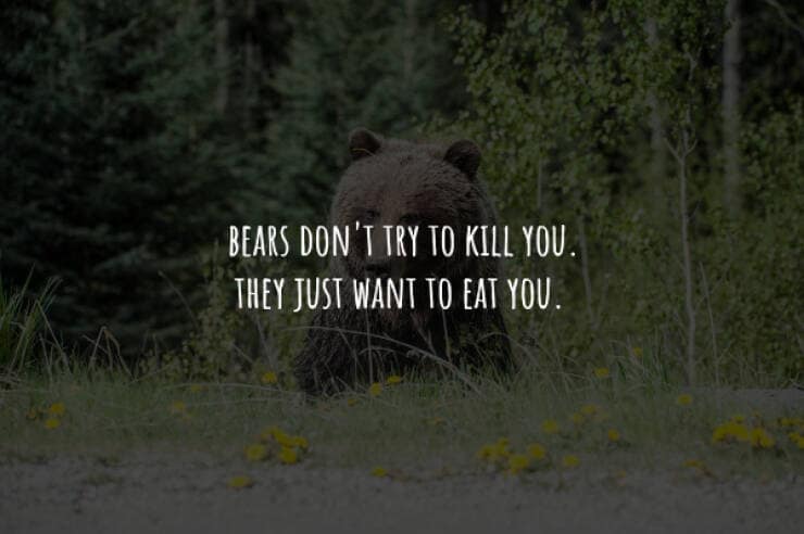 creepy facts, spooky facts, scary facts, eerie facts, chilling facts, disturbing facts, unsettling facts, frightening facts. bizarre facts, weird facts, unusual facts, odd facts