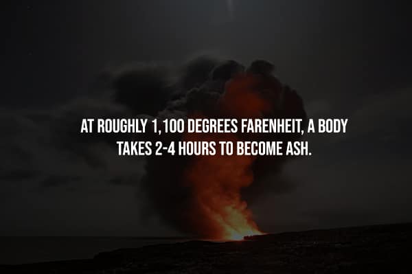 creepy facts, spooky facts, scary facts, eerie facts, chilling facts, disturbing facts, unsettling facts, frightening facts. bizarre facts, weird facts, unusual facts, odd facts