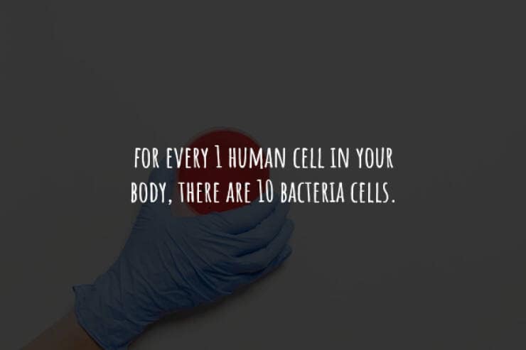 creepy facts, spooky facts, scary facts, eerie facts, chilling facts, disturbing facts, unsettling facts, frightening facts. bizarre facts, weird facts, unusual facts, odd facts