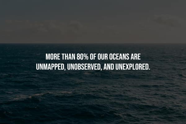 MORE THAN 80% OF OUR OCEANS ARE UNMAPPED, UNOBSERVED, AND UNEXPLORED.
