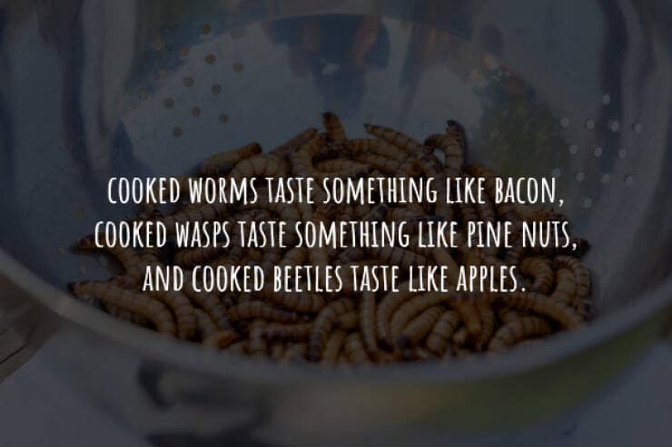 creepy facts, spooky facts, scary facts, eerie facts, chilling facts, disturbing facts, unsettling facts, frightening facts. bizarre facts, weird facts, unusual facts, odd facts