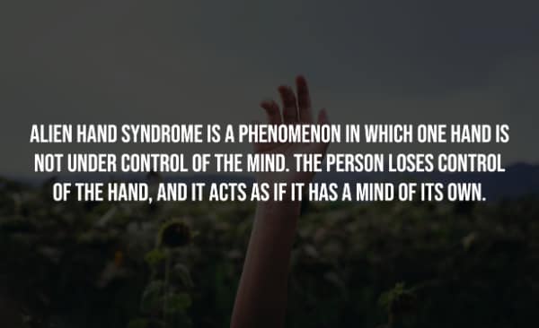 ALIEN HAND SYNDROME IS A PHENOMENON IN WHICH ONE HAND IS NOT UNDER CONTROL OF THE MIND. THE PERSON LOSES CONTROL OF THE HAND, AND IT ACTS AS IF IT HAS A MIND OF ITS OWN.