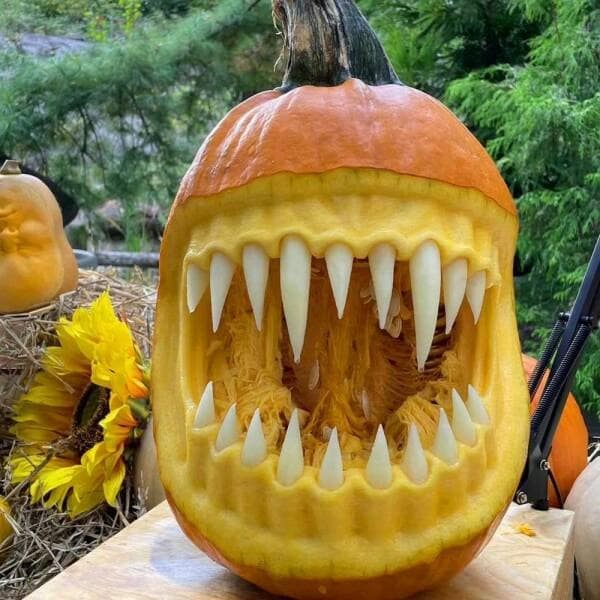 cursed images, haunted photos, bizarre pictures, unnerving snapshots, weird pictures, eerie visuals, unsettling scenes, disturbing memes, nightmare fuel, horrifying tidbits