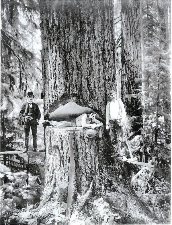 cursed images, haunted photos, bizarre pictures, unnerving snapshots, weird pictures, eerie visuals, unsettling scenes, disturbing memes, nightmare fuel, horrifying tidbits