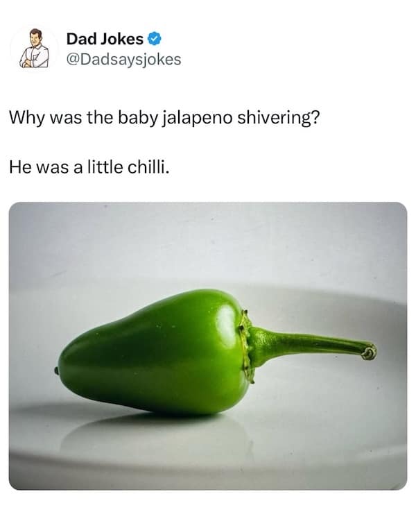Why was the baby jalapeno shivering? He was a little chilli.