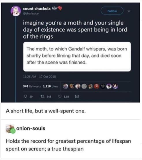 imagine you're a moth and your single day of existence was spent being in lord of the rings