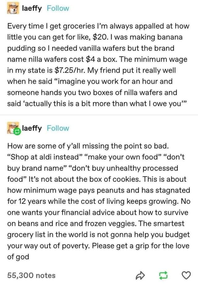 Every time I get groceries I'm always appalled at how little you can get for like, $20. I was making banana pudding so I needed vanilla wafers but the brand name nilla wafers cost $4 a box. The minimum wage in my state is $7.25/hr. My friend put it really well when he said "imagine you work for an hour and someone hands you two boxes of nilla wafers and said 'actually this is a bit more than what I owe you'"
