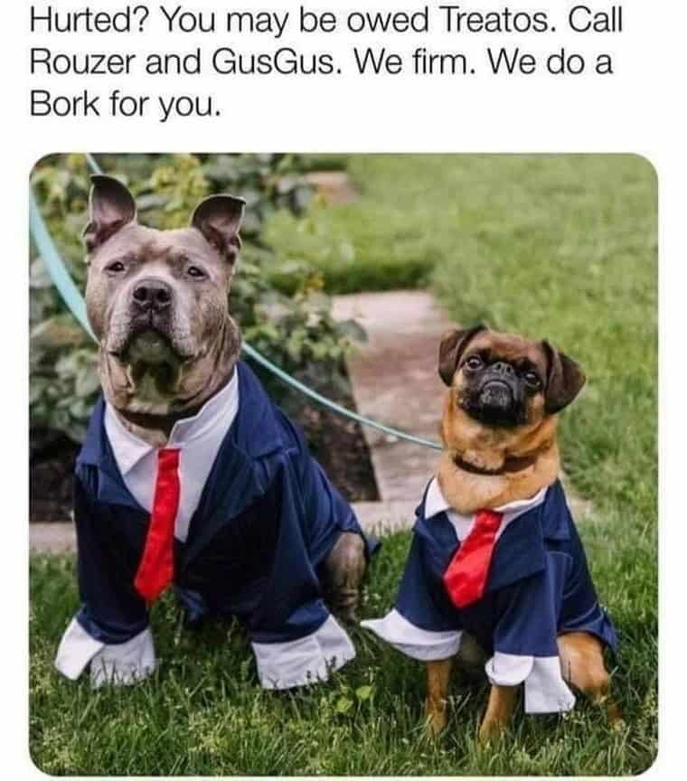 Hurted? You may be owed Treatos. Call Rouzer and GusGus. We firm. We do a Bork for you.
