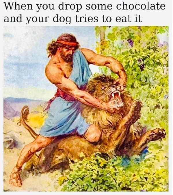 dog memes, funny dog memes, canine memes, pooch memes, furry friend memes, puppy memes, pup humor, little dog jokes, canine humor, dog funnies, four-legged jokes