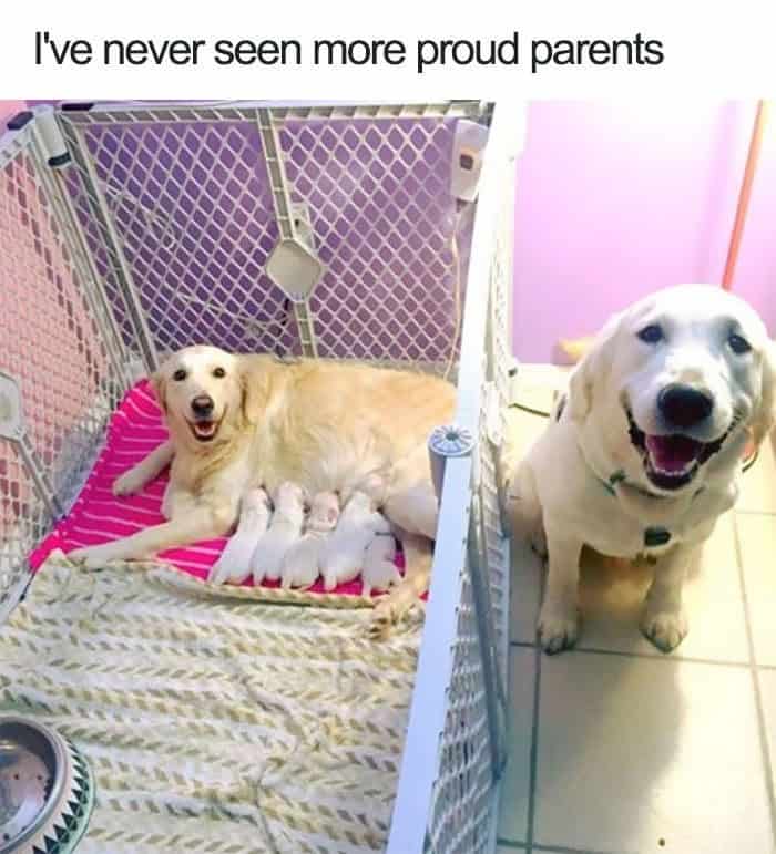 I've never seen more proud parents
