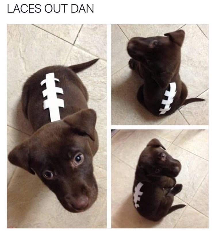 LACES OUT DAN