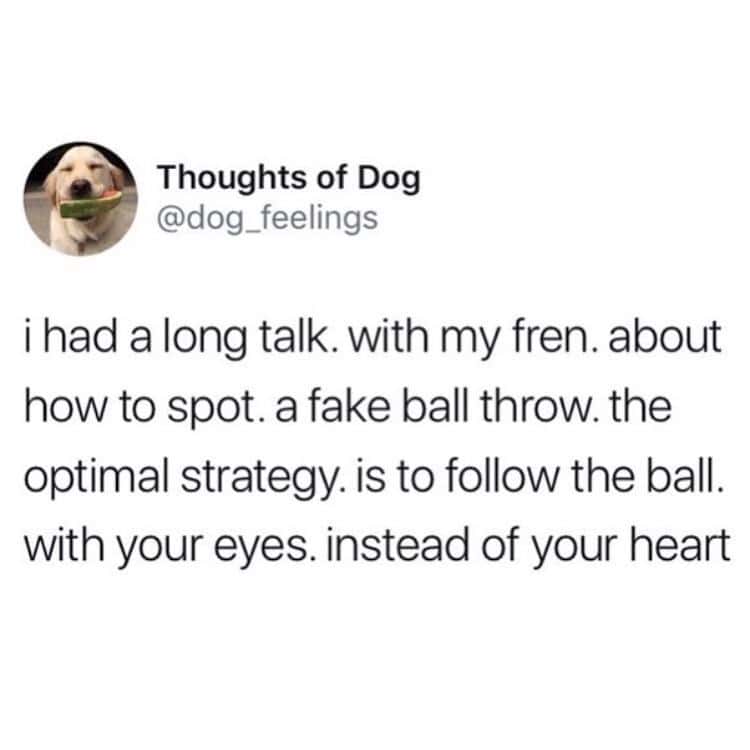 i had a long talk. with my fren. about how to spot. a fake ball throw. the optimal strategy. is to follow the ball. with your eyes. instead of your heart