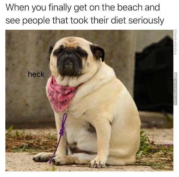 When you finally get on the beach and see people that took their diet seriously