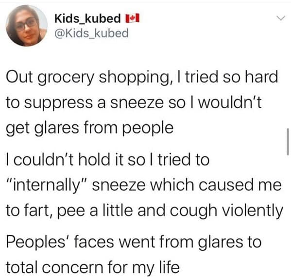 Out grocery shopping, I tried so hard to suppress a sneeze so I wouldn't get glares from people I couldn't hold it so I tried to "internally" sneeze which caused me to fart, pee a little and cough violently