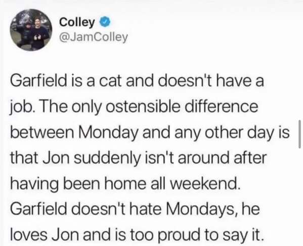Garfield is a cat and doesn't have a job. The only ostensible difference between Monday and any other day is that Jon suddenly isn't around after having been home all weekend. Garfield doesn't hate Mondays, he loves Jon and is too proud to say it.