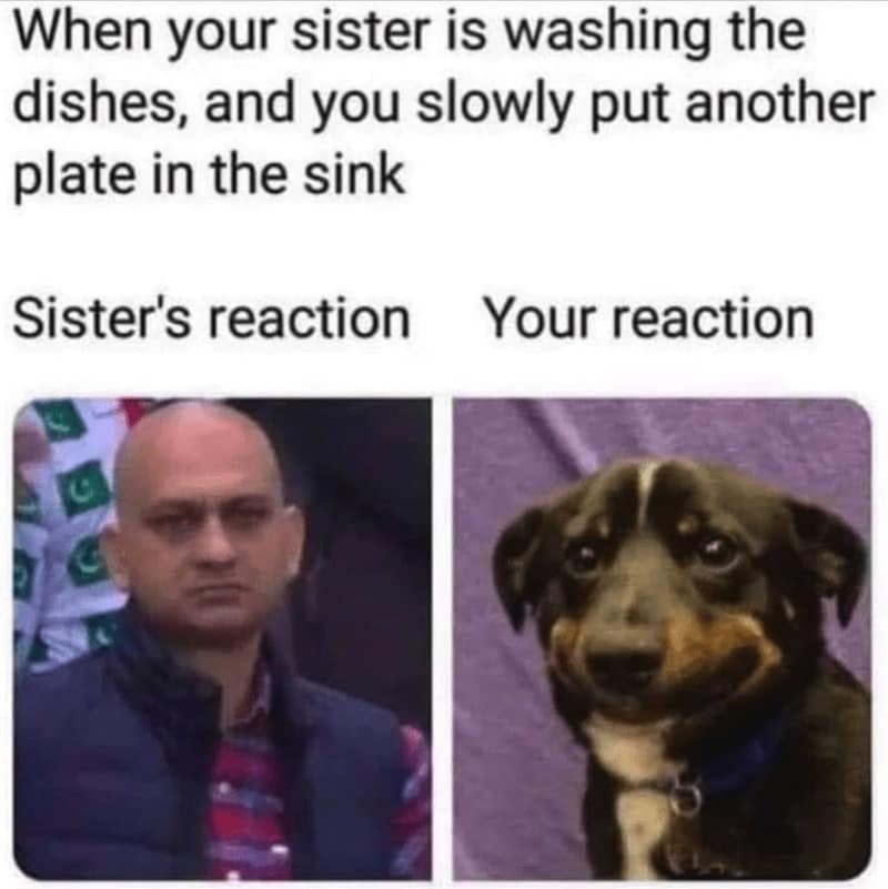 family memes, kin memes, household memes, clan memes, parenting humor, parental satire, guardian wit, family jokes, domestic laughter, home-life quips