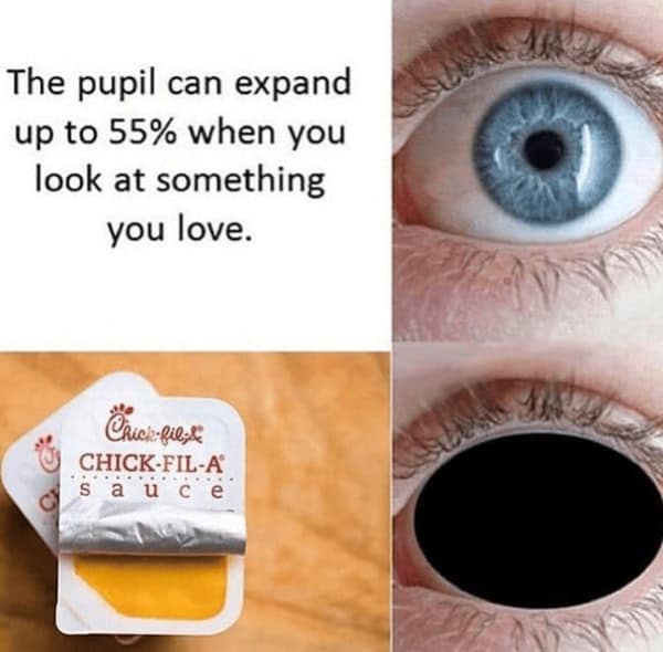 fast food memes, junk food memes, burger memes, drive-thru humor, funny fast food jokes, greasy meal memes, cheap meal humor, cheap meal jokes, thrifty bite humor, low-cost snack laughs