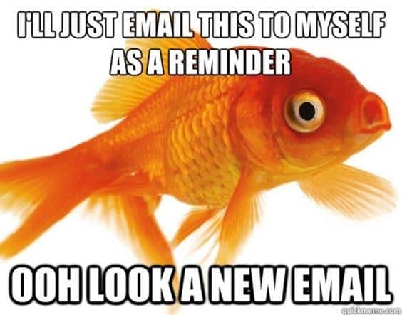 I'LL JUST EMAIL THIS TO MYSELF AS A REMINDER OOH LOOK A NEW EMAIL