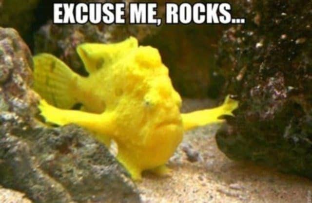 EXCUSE ME, ROCKS...