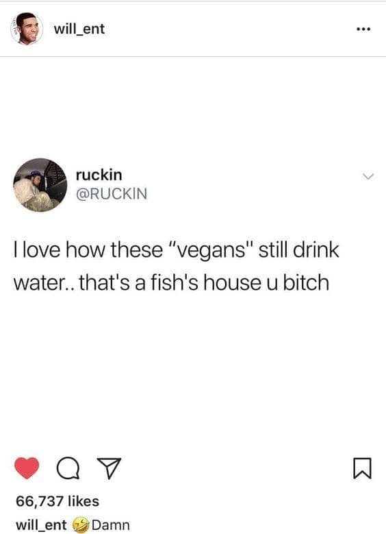 I love how these "vegans" still drink water.. that's a fish's house u bitch