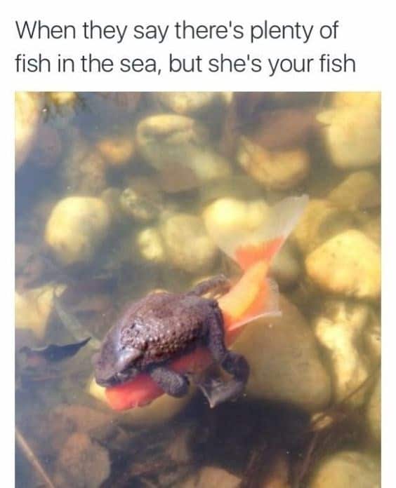 When they say there's plenty of fish in the sea, but she's your fish