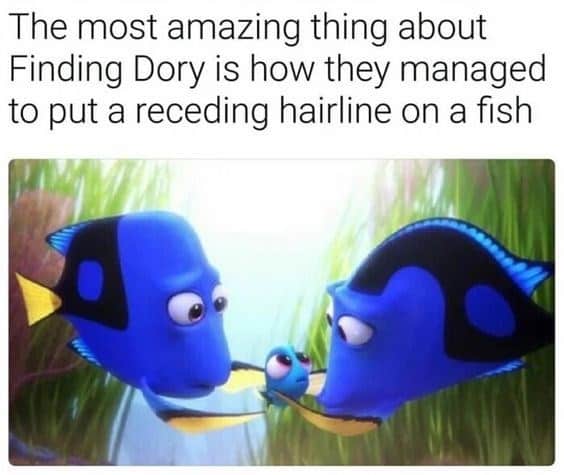 The most amazing thing about Finding Dory is how they managed to put a receding hairline on a fish
