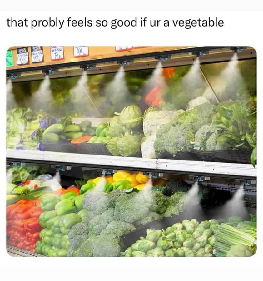 food memes, foodie memes, meal memes, snack memes, kitchen humor, cooking comedy, pantry laughs, cooking fails, chef disasters, gourmet bloopers, cursed meals, questionable platters, chaotic eating, cursed food