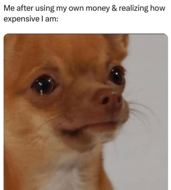 animal memes, funny animal memes, pet memes, humorous pet memes cat memes, kitten memes, feline memes, funny cats memes dog memes, puppy memes, canine memes, hilarious dog memes cute animal memes, adorable memes, charming pet memes, endearing animal memes